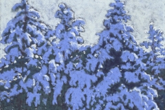 Winter-Pines-11-x-14.5-Pastel